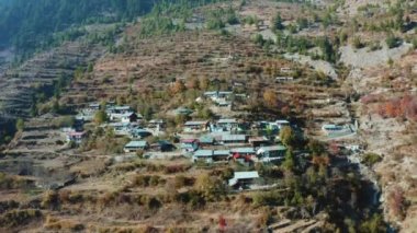 Himalayalar 'ın dağlık yamaçlarında yeşil çam ormanlarıyla çevrili dağ evleri. Terrace Dağı. 4K 'da Uttarakhand, Harsil' de. Hindistan 'ın el değmemiş yerleri.