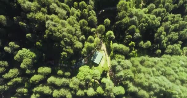 Eenzame Hut Huis Omgeven Door Enorme Groene Dennenbos Het Berggebied — Stockvideo