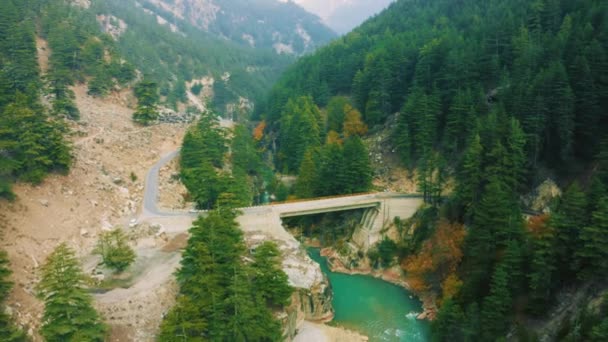 Letecký Pohled Most Nad Řekou Bhagirathi Obklopený Zeleným Borovým Lesem — Stock video