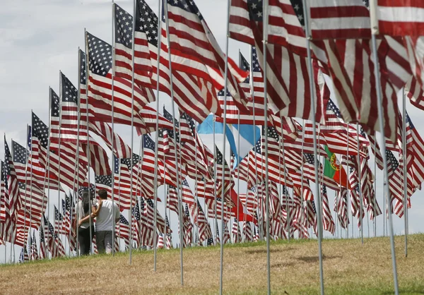 Couple Among Memorial Flags — Stock Photo, Image