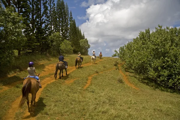 Équitation à cheval — Photo