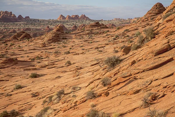 Coyote Buttes Deslate landschap — Stockfoto