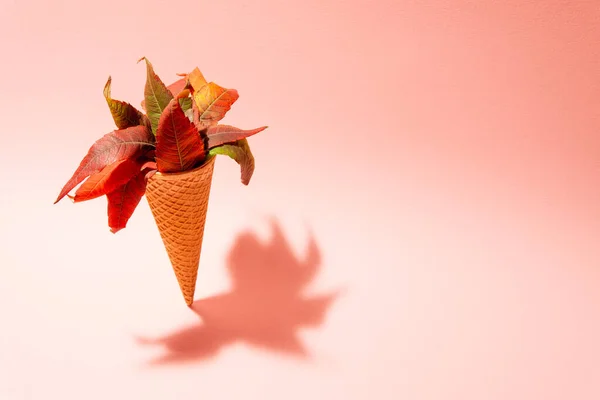 Stehender Eistüte Mit Herbstblättern Minimales Herbstkonzept — Stockfoto