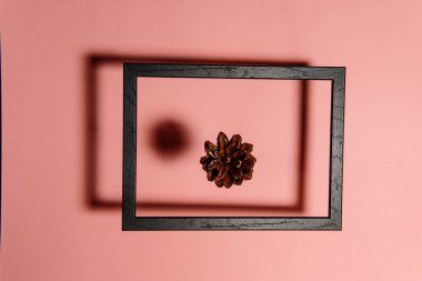 Çam ağacıyla yüzen resim çerçevesi. En düşük sonbahar konsepti