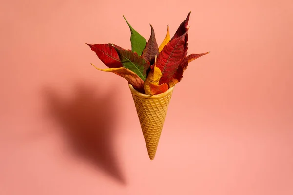 Floating ice cream cone with autumn leaves. Minimal autumn concept