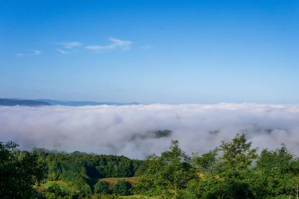Landscape with dense fog over field