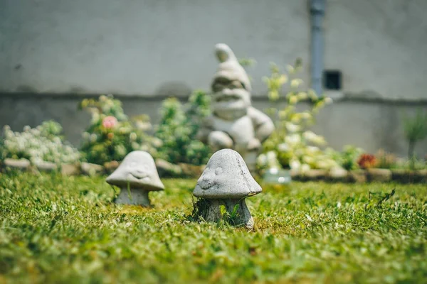 Funny yard concrete mushrooms