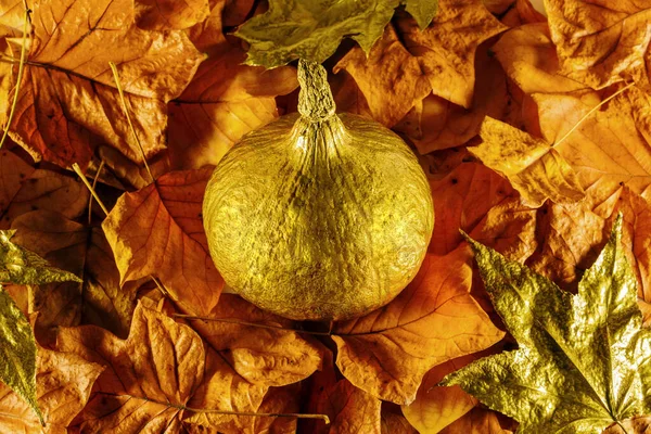 Creative autumn background. Orange and gold autumn leaves and gold pumpkin in middle.