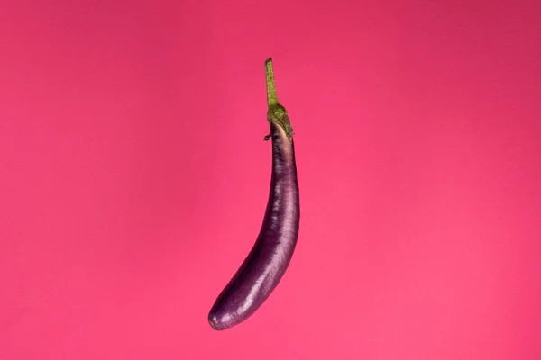 Eggplantan Flyter Isolerad Rosa Bakgrund Kreativ Mat — Stockfoto