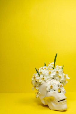 Beyaz bir kafatasının dikey görüntüsü ve içinden narsis çiçekleri geliyor. Parlak sarı çift ton arkaplanı