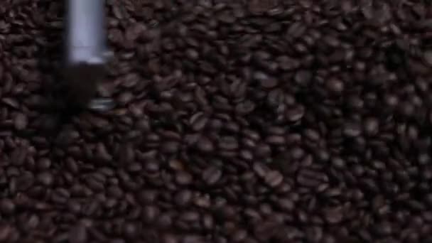 Granos de café tostados — Vídeo de stock