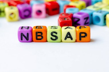 Ulusal Biyolojik Çeşitlilik Stratejisi ve Eylem Planını temsil eden çok renkli küplerle ilgili NBSAP metni. Koruma kavramı