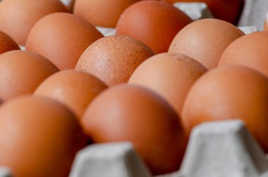 Yumurtaları yumurta tepsisine koy. Yiyecek konsepti