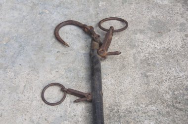 Domuzun tartılma tartısı. Domuzu tartmanın geleneksel yolu..