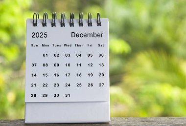 Bulanık doğa geçmişi olan Aralık takvimi. Boşluğu kopyala