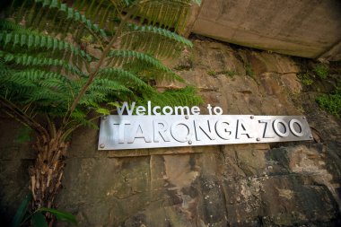 Taronga Zoo giriş 