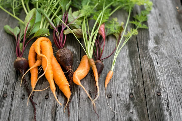 Hässliche Karotten und Rote Bete — Stockfoto