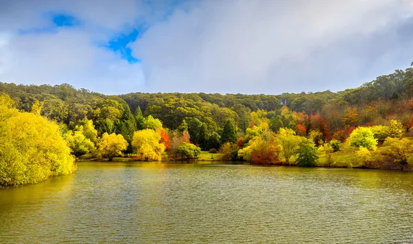 Escena de otoño junto al estanque — Foto de Stock