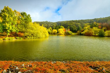 Su birikintisi sonbahar sahne