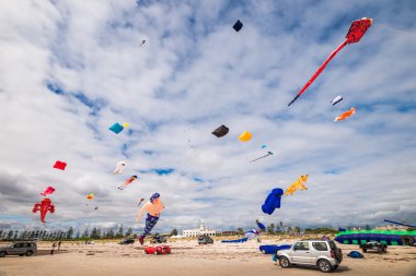 Adelaide Uluslararası Uçurtma Şenliği 2016