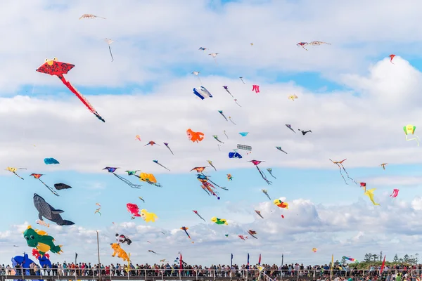 Adelaide internationale Kite Festival 2016 — Stockfoto