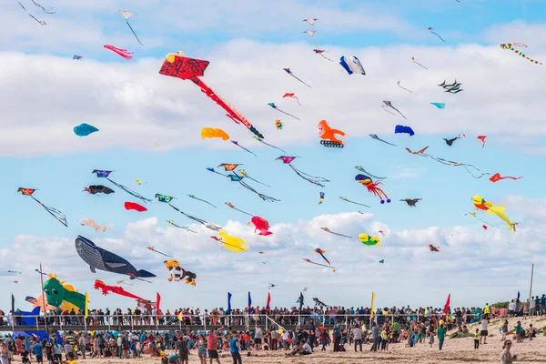 Adelaide internationale Kite Festival 2016 — Stockfoto