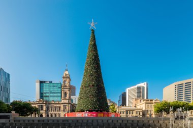 Noel ağacı Victoria Square Adelaide