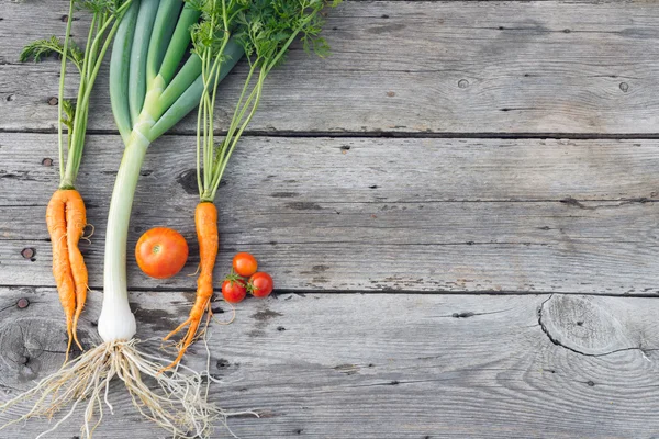 Verduras de moda en madera de granero — Foto de Stock