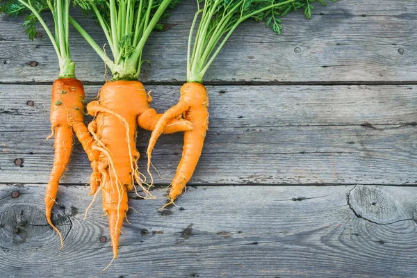 Модна потворна органічна морква — стокове фото