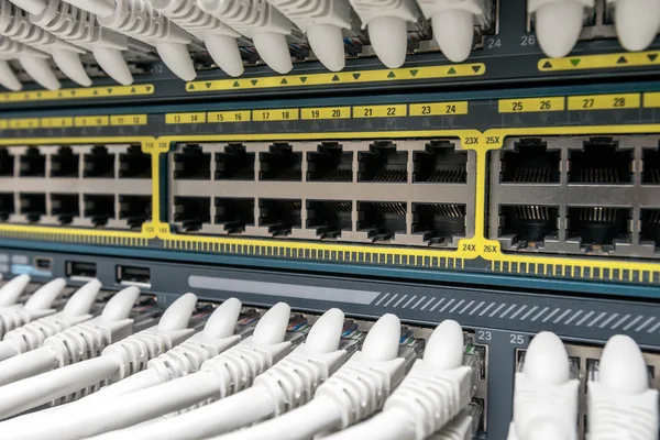 Network Gigabit Smart Switch — Stock Photo, Image