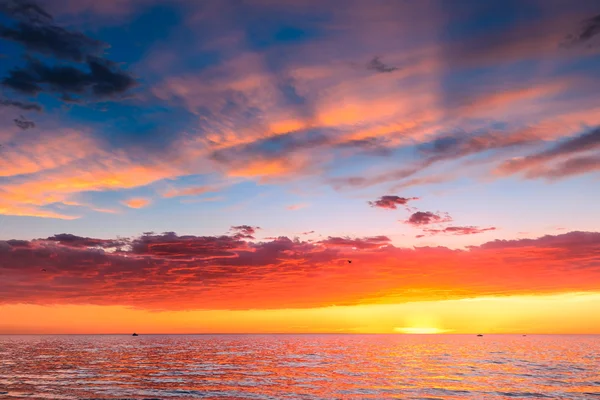 Plajda dramatik günbatımı — Stok fotoğraf