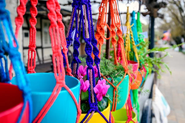 Fiori appesi in vasi colorati — Foto Stock