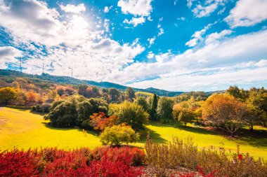Güneşli bir günde sonbahar renklerinde Lofty Dağı Botanik Bahçesi, Crafers, Adelaide Hills, Güney Avustralya