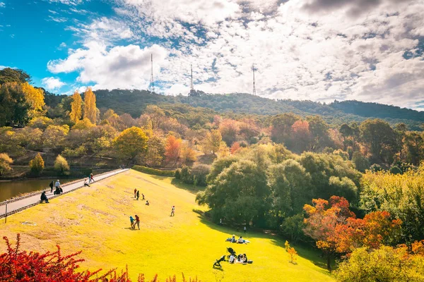 Artigiani Australia Meridionale Aprile 2021 Persone Che Organizzano Picnic Famiglia — Foto Stock