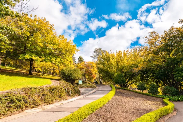 Pathway Mount Lofty Botanic Garden Autumn Season Bright Sunny Day — Stock Photo, Image