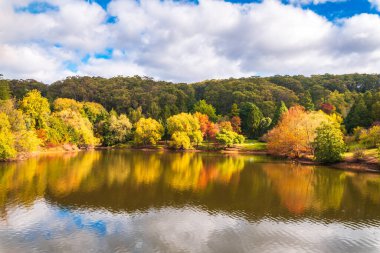 Güney Avustralya, Adelaide Hills 'te bir gün, Lofty Dağı sonbahar renkleri suyla yansıyor.