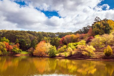 Sonbahar renklerinde Lofty Dağı Parkı Adelaide Hills, Güney Avustralya