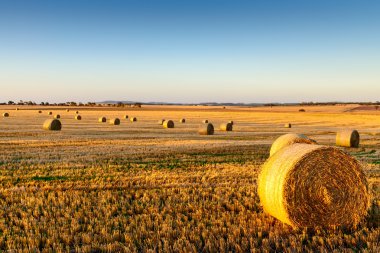 Haystock