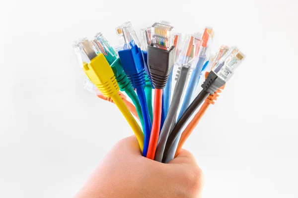 Kleurrijke ethernet-kabels — Stockfoto