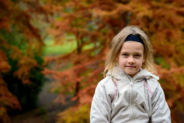 Girl's portret in de herfst park — Stockfoto