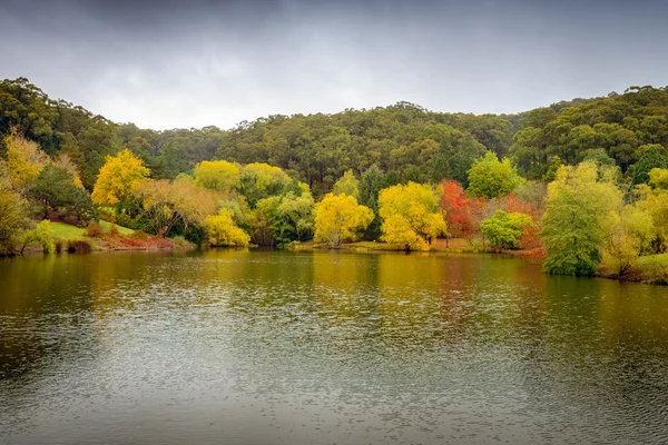 Autumn Landscape. Panorama of autumn trees around the pond — Stock Photo, Image