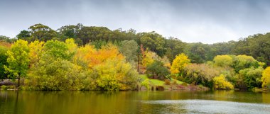 sonbahar park su birikintisi ile