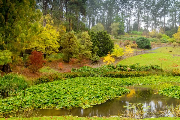 Parque de otoño con estanque — Foto de Stock