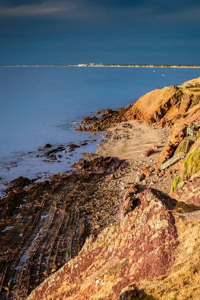 Hallett Cove park vid solnedgången — Stockfoto