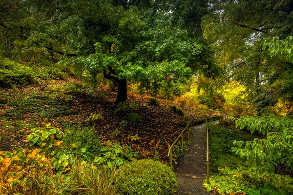 Paisaje pacífico del otoño en el parque — Foto de Stock