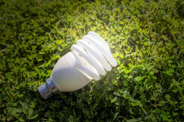 enerji verimli ampul