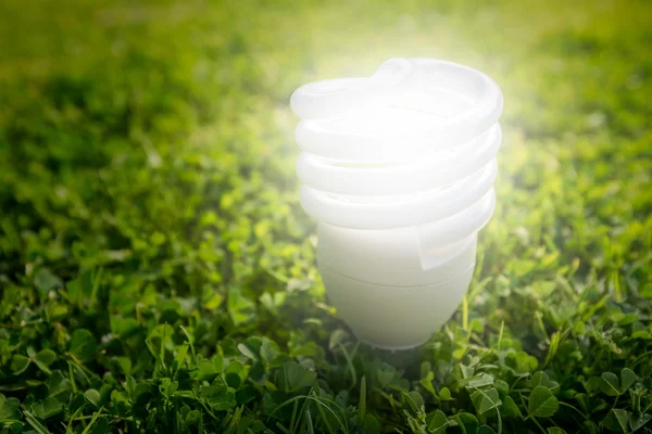 Energy efficient light bulb