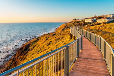 Günbatımında okyanus manzaralı Hallett Koyu Koruma Parkı Sahil Yolu, Güney Avustralya