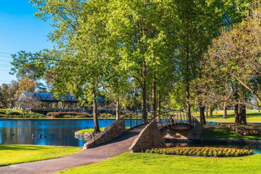 Iconic Rymill Parkı, ördek havuzu boyunca uzanan pitoresk köprü, Güney Avustralya Adelaide şehrinde güneşli bir bahar günü yakalandı.