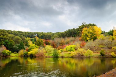 Sonbahar peyzaj havuz